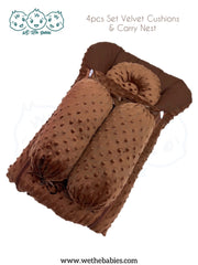 Baby Carry Nest & Pillow Set